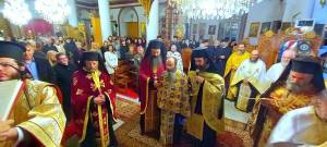 1004329731_optimized_original