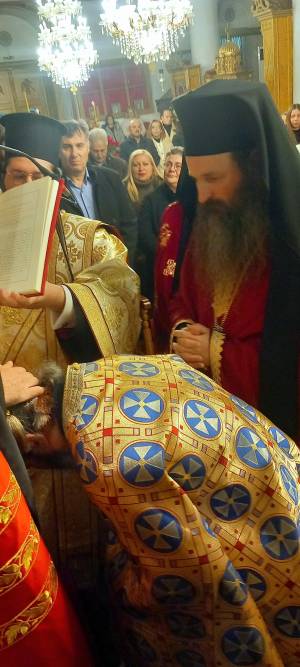 1004329737_optimized_original