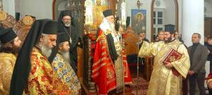 1004329762_optimized_original