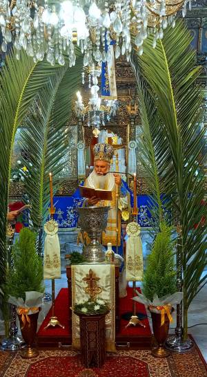 D0423A66-A16F-4FE7-9932-6D27F6567B43_original