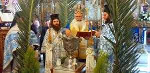 D9F3E68C-5C44-4D6D-8123-87B9A67DBBA2_original